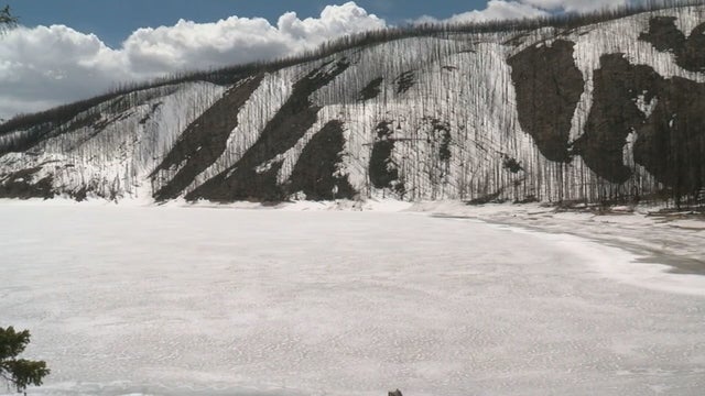 Cameron Peak Fire Burn Area Tour (5) 