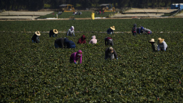 cbsn-fusion-new-mental-health-initiative-will-offer-support-to-migrant-farmworkers-via-zoom-thumbnail-713091-640x360.jpg 