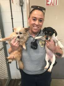 Dogs Rescued 1 