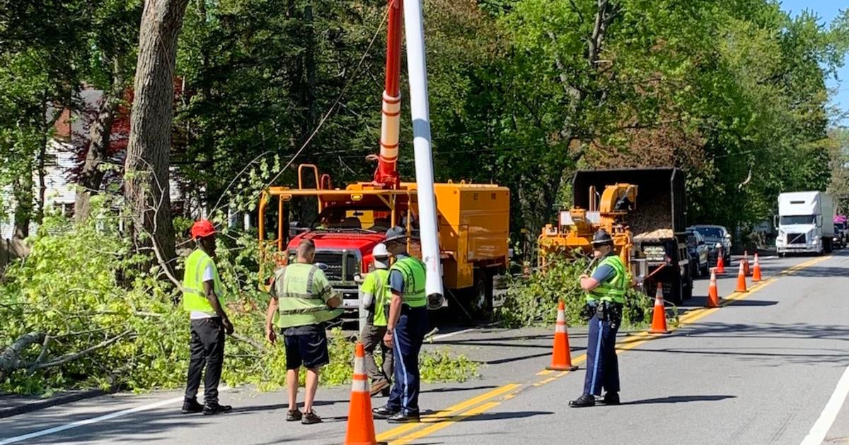 Chainsaw Accident Sends Wayland Tree Cutter To Hospital - CBS Boston