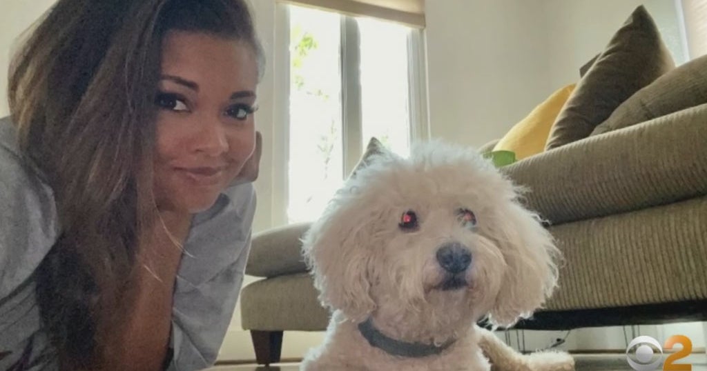 PetSmart Employees Charged After Dog Dies During Grooming; CBS Sports