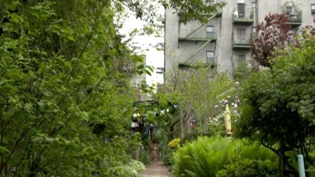 cbsn-fusion-community-gardens-decorate-new-york-citys-urban-landscape-thumbnail-715696-640x360.jpg 