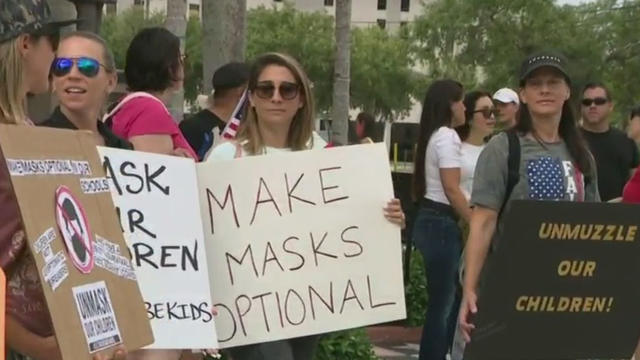 Mask-Protest.jpg 