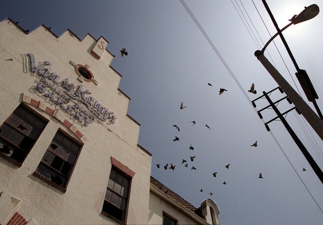 009162.ME.0526.bakery2.RG Pigeons flock around the abandoned Van de Kamp bakery building in Glass