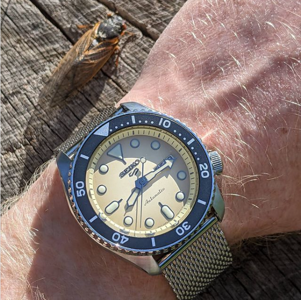 Seiko cicada Brood X 