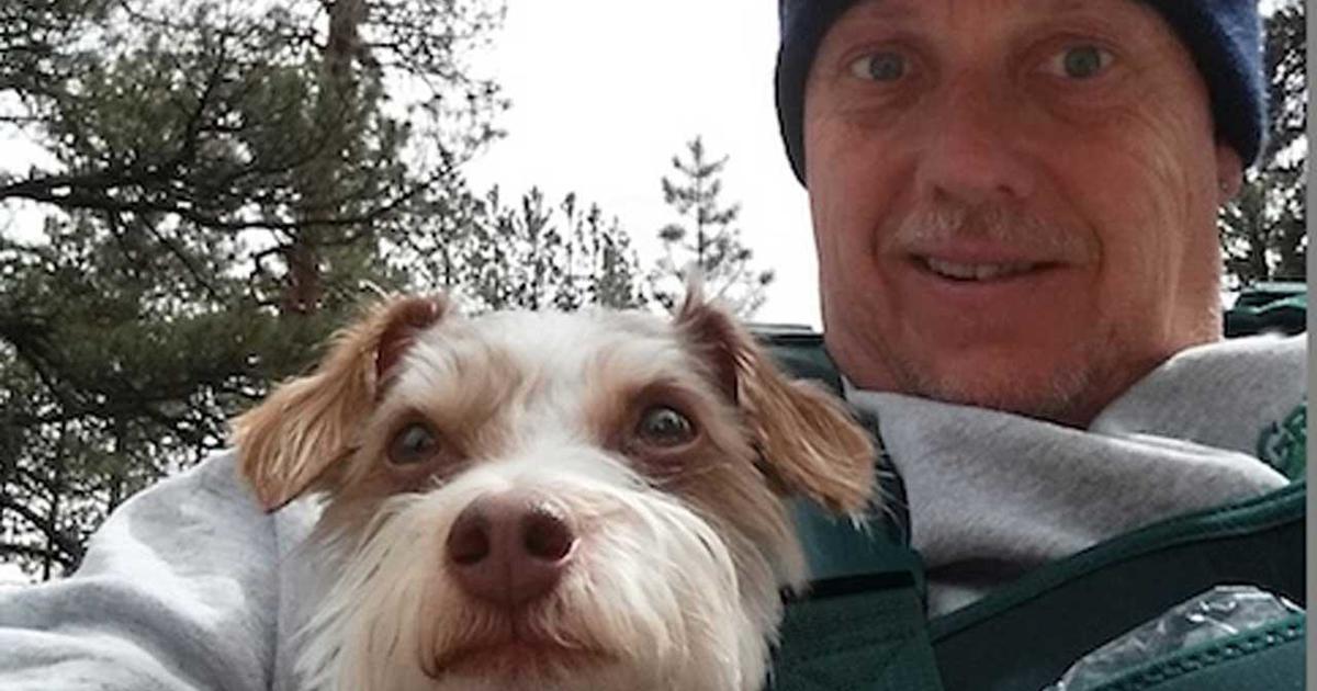 Лео е жив! Куче-чудо оцеля, след като собственикът му почина по време на лов на съкровища във Фен