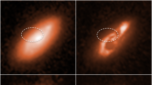 stsci-01f5413ef98k1ye6fd48aev2b1.png 