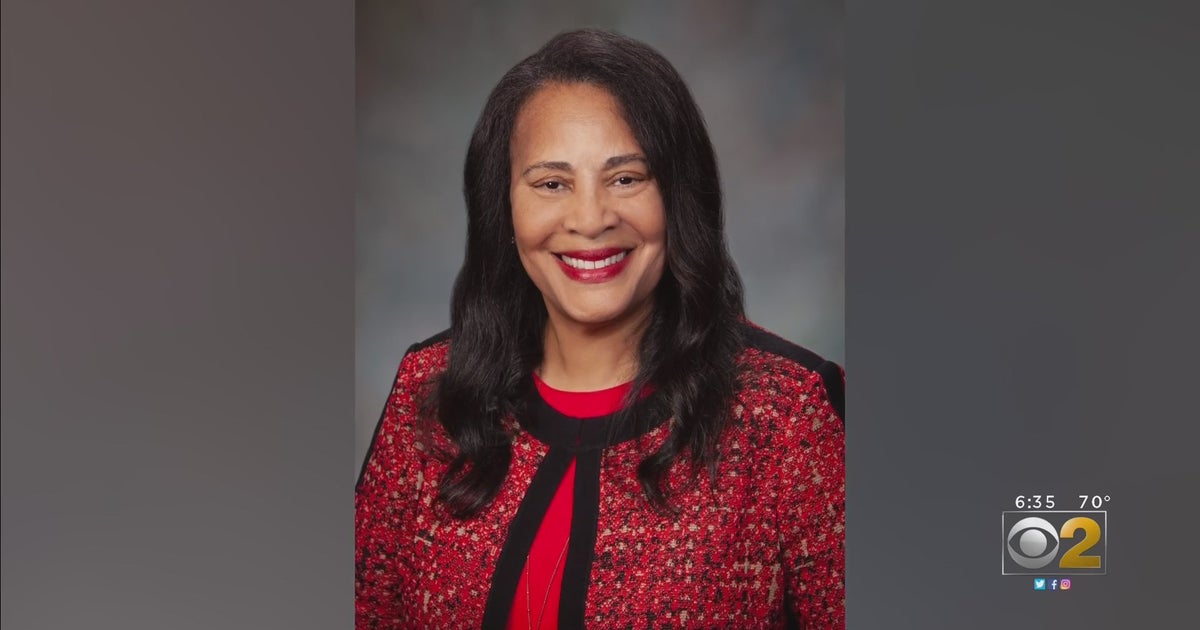 An Interview With Donna Johnson, Libertyville's First Black Woman Mayor