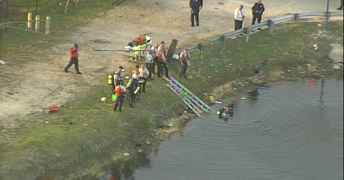 Stolen Car Suspect Dies After Crashing Vehicle Into Canal Near Doral ...