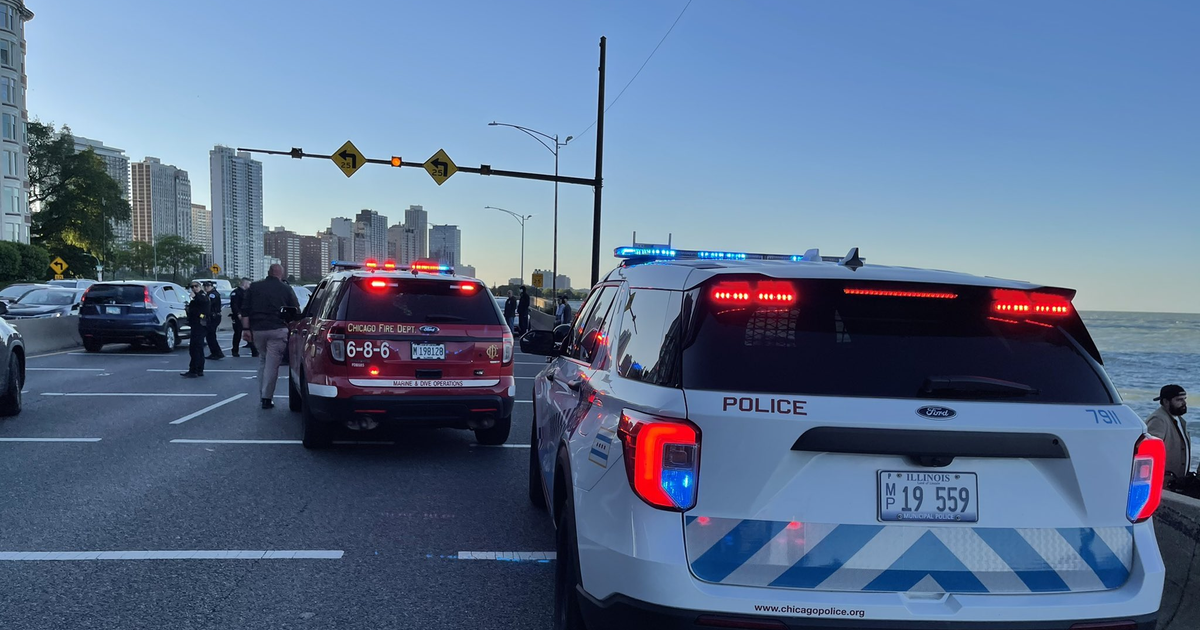 Man Hit, Seriously Injured By Car On Lake Shore Drive At Walton Place ...