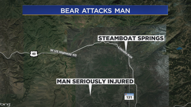 bear attack map 