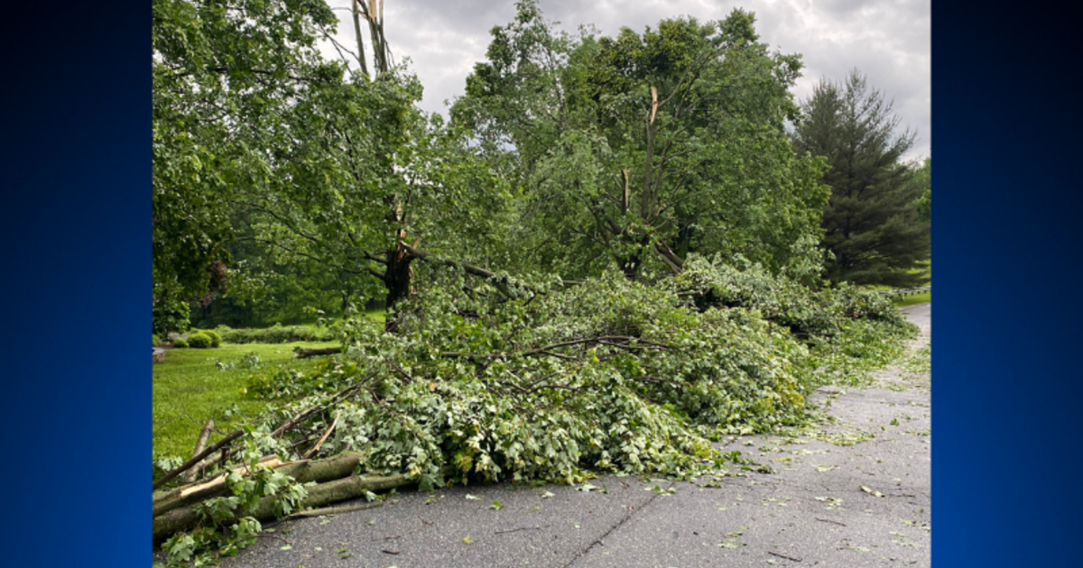 Maryland Weather: Heavy Rain & Strong Winds Ripped Through Maryland On ...