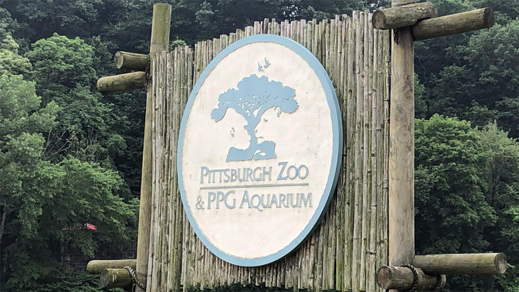 Attractions like the Pittsburgh Zoo, Carnegie Science Cente...ill offer free admission days this summer. Here's how
it works