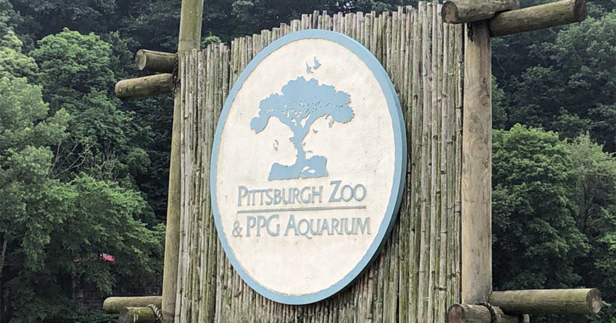 Enjoy free admission at Pittsburgh Zoo, Carnegie Science Center, and National Aviary this summer – here’s how!