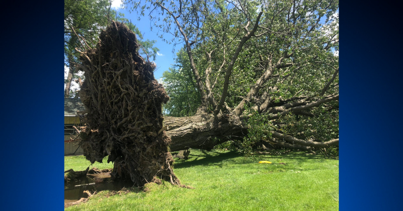 Maryland Weather Monday's Storms Leave Behind Damage & Power Outages