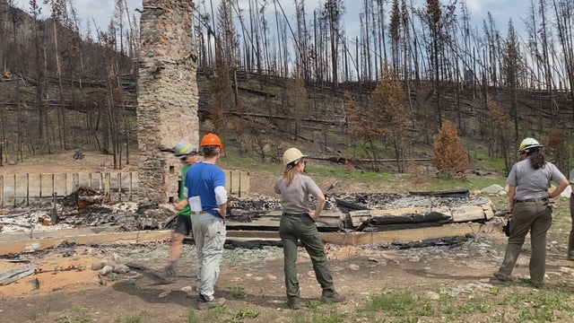 RMNP-WILDFIRE-MITIGATION-6VO.transfer_frame_0.jpeg 
