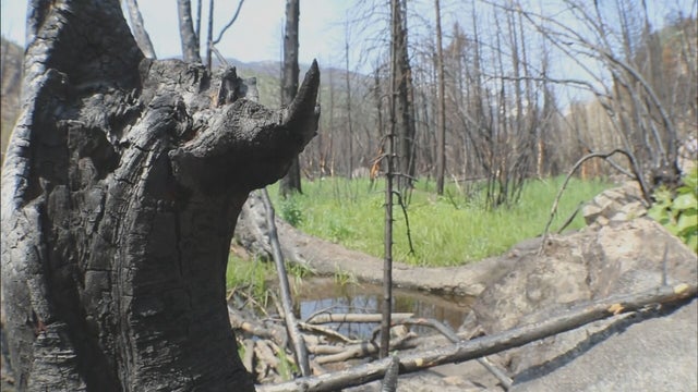 RMNP FIRE TOUR 5PKG.transfer_frame_2284 