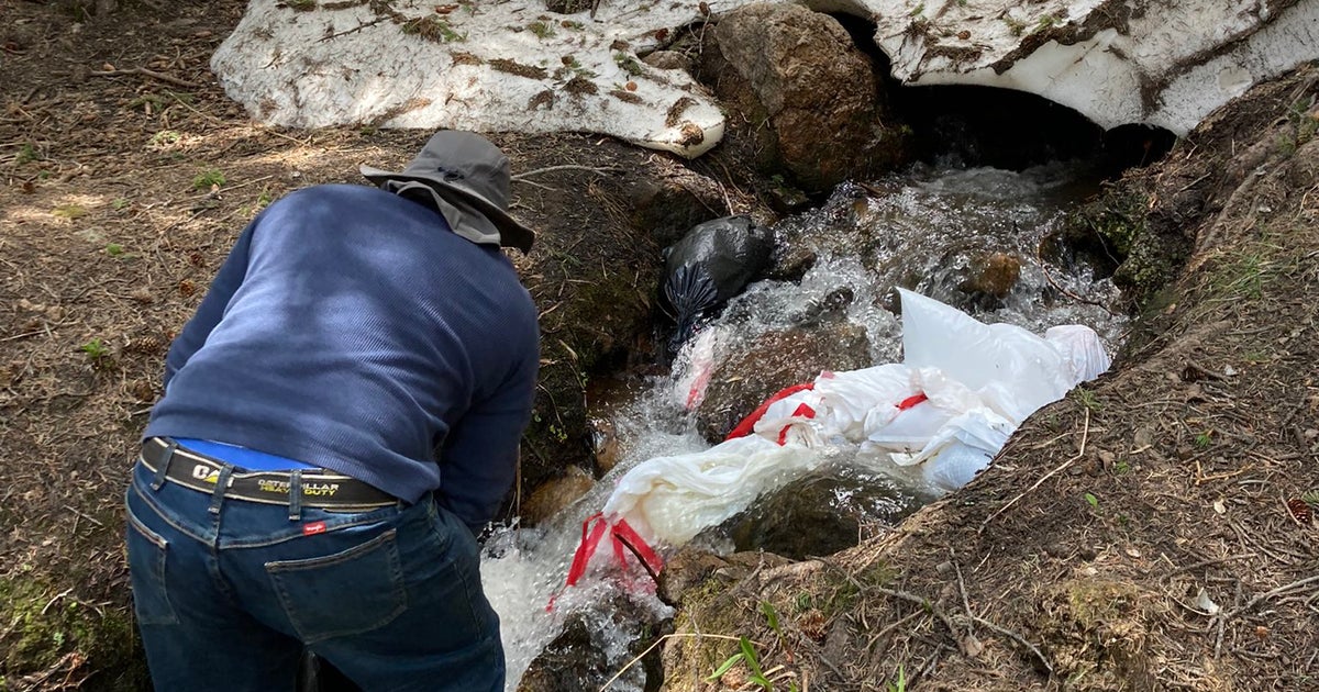 'NOT Your Toilet' Man Caught Dumping Human Waste In Stream In Clear