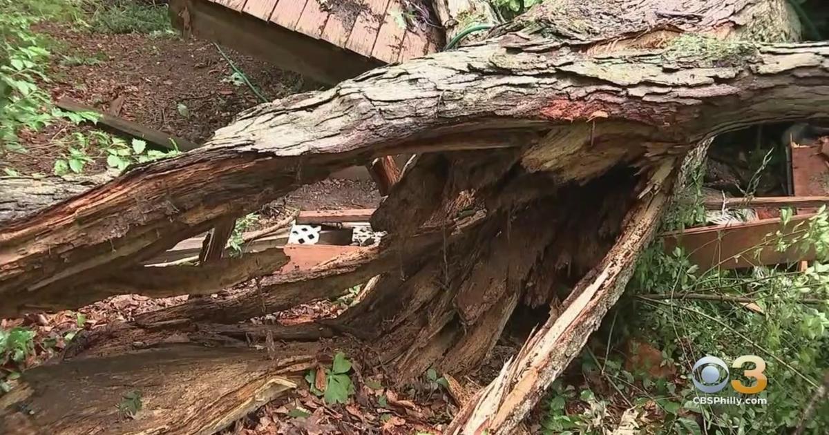 Woman Trapped After Tree Crashes Into House In Newark Cbs Philadelphia