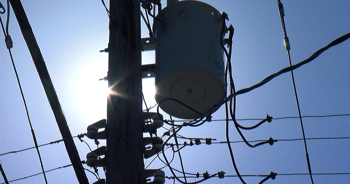 Royalton Man Apparently Electrocuted To Death In Tree Trimming Accident