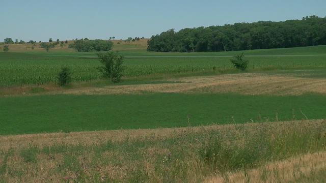 Hay-Shortage.jpg 