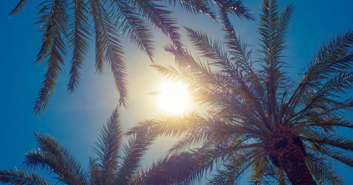 Following Climate Inform: Miami-Dade, Broward underneath Too much Heat Warning Following Climate Inform: Miami-Dade, Broward underneath Too much Heat Warning