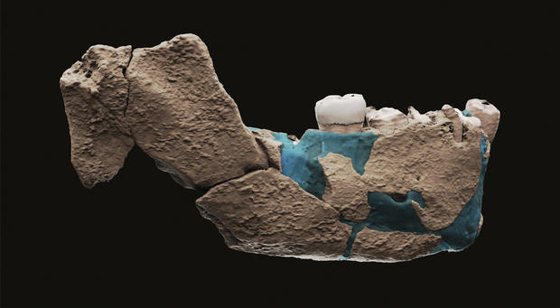 Israel Neanderthals jaw bone fossil 