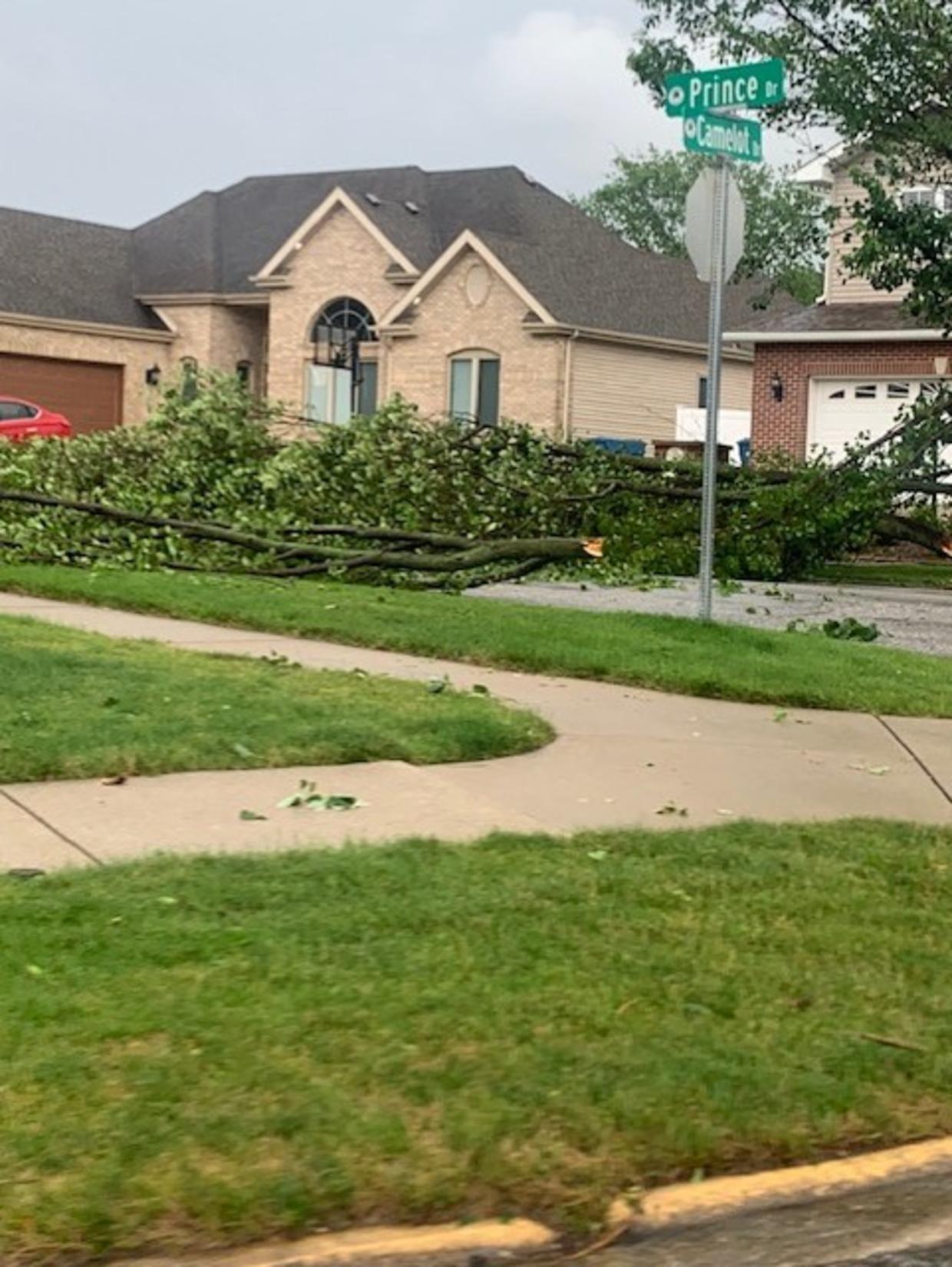 PHOTOS Severe Storms Rip Down Trees In Dyer, Indiana CBS Chicago