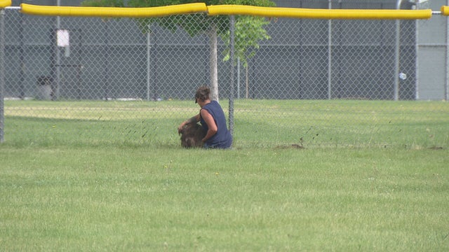 LEGACY JFK 5PKG.transfer_frame_972 