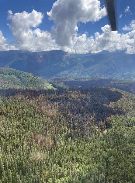 sylvan fire 3 (inciweb) 