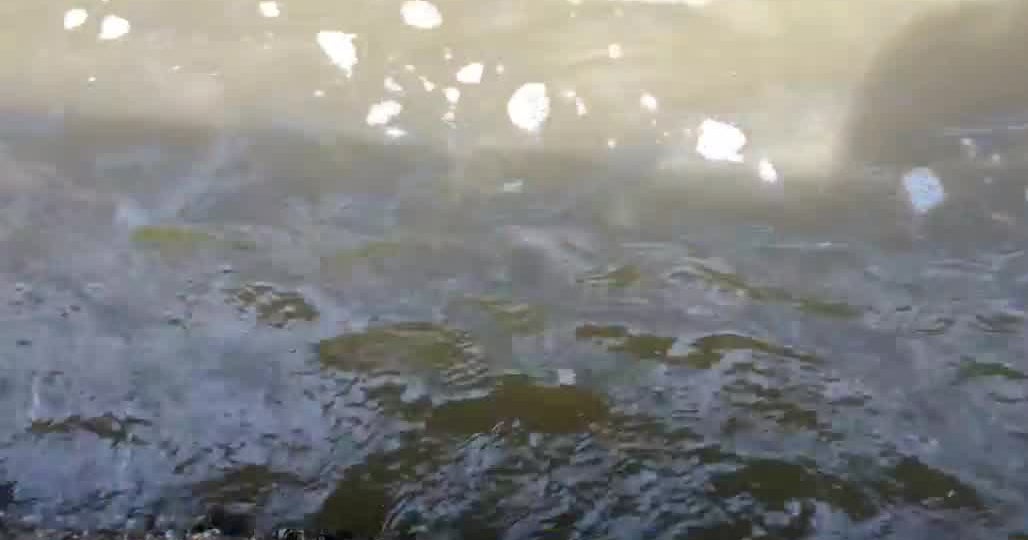 newyork.cbslocal.com