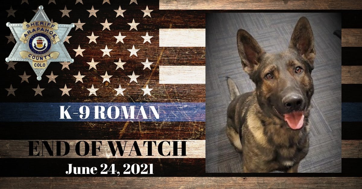 'Rest In Peace Buddy' Arapahoe County Sheriff's Office Mourns Death Of K9 Roman CBS Colorado