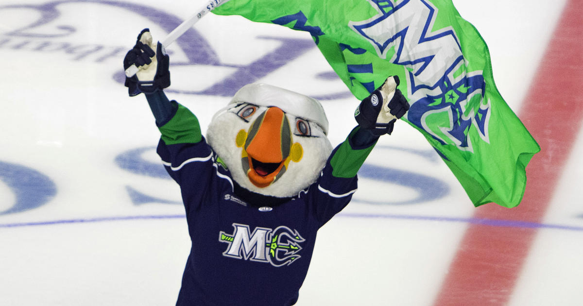 Maine Mariners Announces ECHL Affiliation With Boston Bruins - CBS Boston