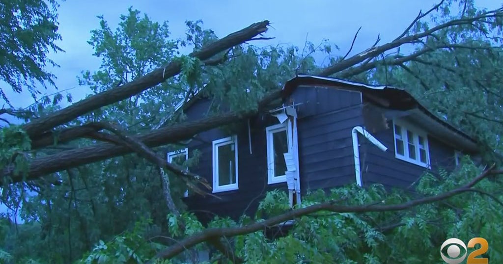 Severe Weather Brings Down Trees, Power Lines In Dutchess County CBS