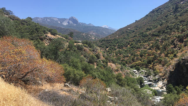 sequoia-and-kings-national-park.jpg 