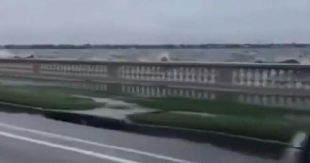 Tropical Storm Elsa makes landfall along Florida's Gulf Coast CBS News