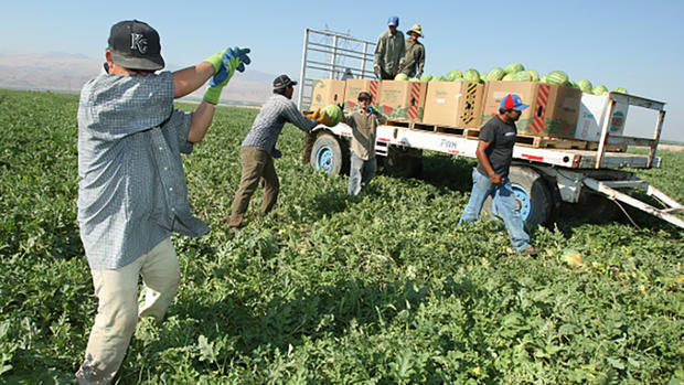 Farm Workers in California Central Valley - Kern County 