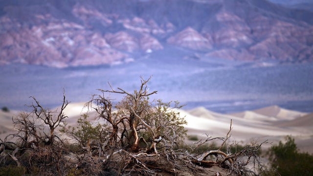 Sand dunes near the village of Stovepipe 