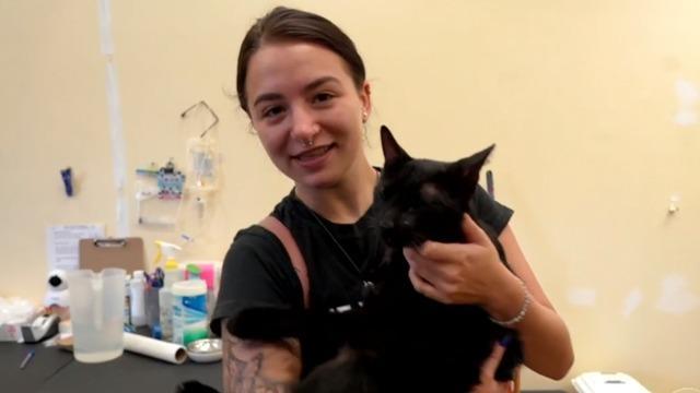 cbsn-fusion-cat-rescued-in-surfside-building-collapse-reunited-with-owners-thumbnail-751216-640x360.jpg 