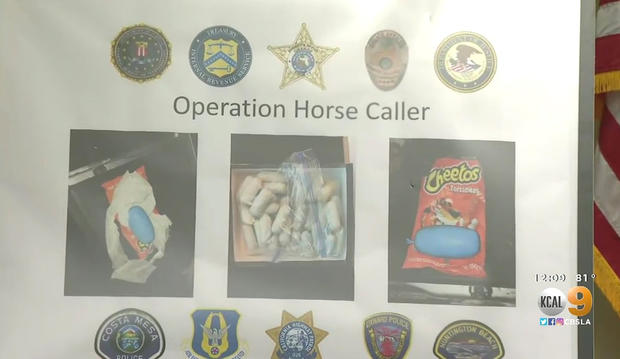 operation horse caller 