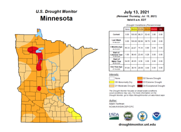 Drought Conditions MN 