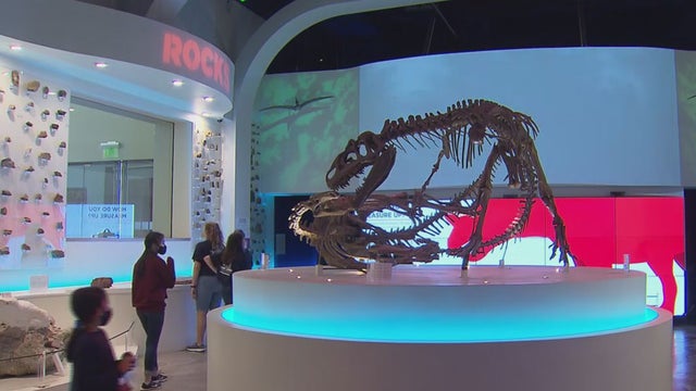 fwmuseum.jpg 