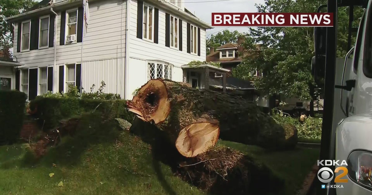 Powerful Storms Topple Trees And Knock Out Power Across Southwestern Pa ...