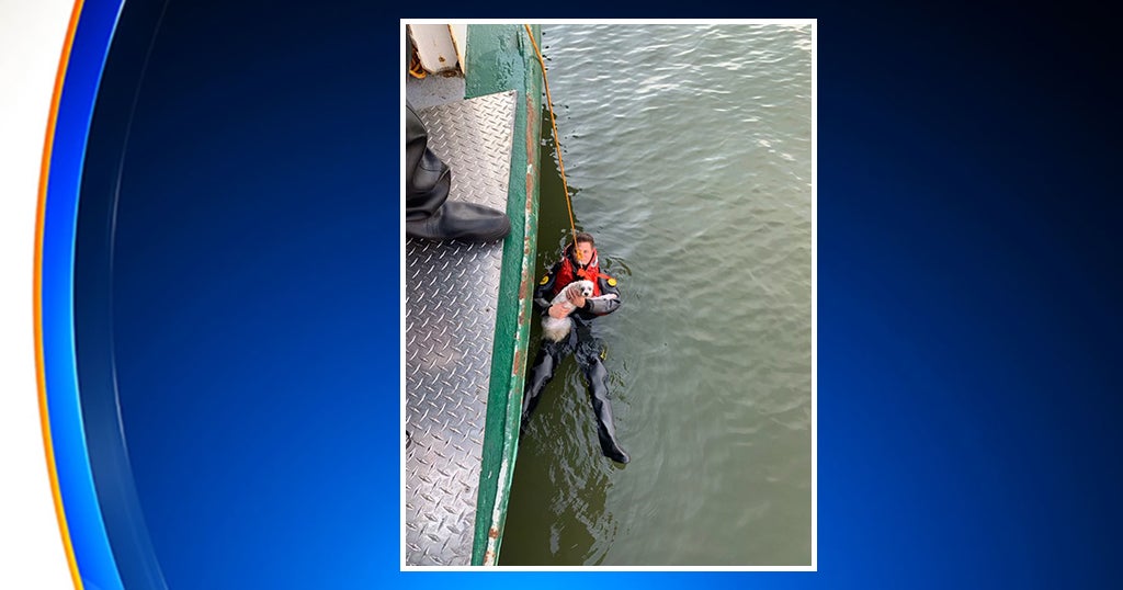 NYPD Harbor Unit Rescues Man And His Dog From Hudson River CBS New York