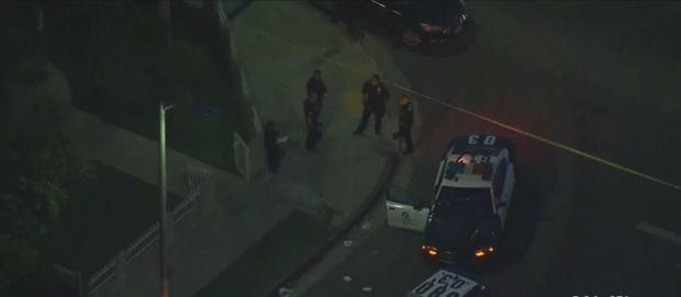 Search On For Gunman After Woman Shot Near Exposition Park 