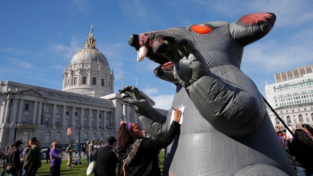 Sasha Watts leaves a message on an inflatable rat outdoors 
