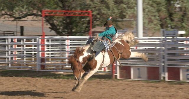 The family that dominates saddle bronc riding - CBS News