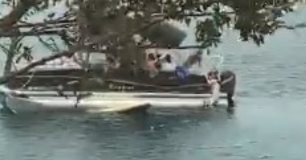 Franklin Woman Hits Paddleboarder With Pontoon Boat While Attempting To