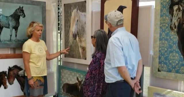 A photographer's mission to save wild horses in the West - CBS News