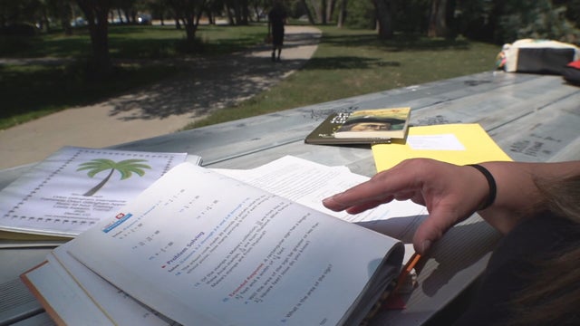 LEARNING LOSS 6PKG.transfer_frame_1005 